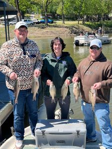 5 white bass caught while fishing in OK