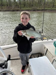 White bass caught while fishing in Mannford OK