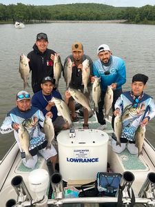 Successful white bass fishing trip on boat in Mannford OK with multiple caught fish displayed