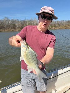 White bass caught while fishing in Mannford OK