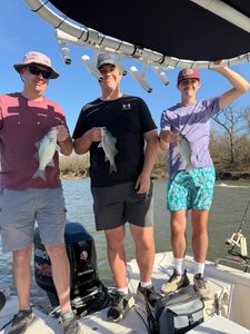Three anglers displaying white bass catch on fishing boat in Mannford OK
