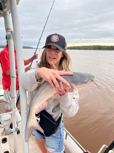 White catfish caught while fishing in Mannford OK on boat