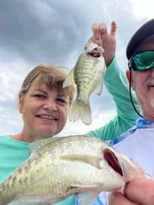 Two white crappie fish caught in OK