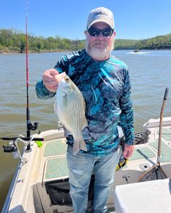 Wiper (Hybrid striped bass) caught in Mannford