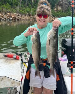 2 wiper (hybrid striped bass) fish caught in Oklahoma