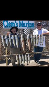 4 big fish caught in Port Aransas while fishing