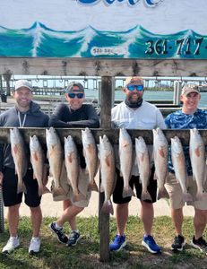 11 redfish caught in TX
