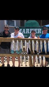 Five fish caught during a fishing trip in Port Aransas