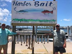 Four big fish caught in TX