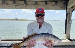 Redfish caught by angler in Port Aransas