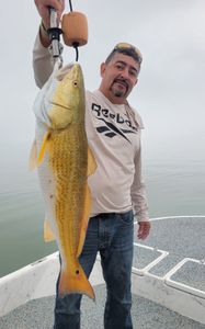 Hooked! Reeling in a trophy Redfish