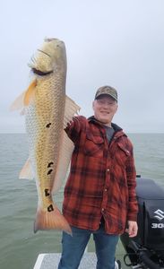 Landing a prized Redfish