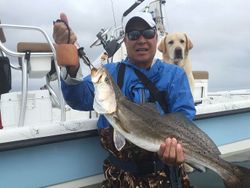 Spotted Weakfish, a 22-inch big fish, caught during fishing and hunting in Matagorda