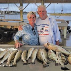 Seven black drum and little tunny fish caught in Matagorda, Texas