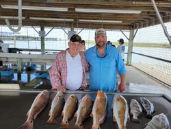 Six redfish caught in Matagorda