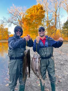 2 anglers fishing for best, great catch in NY