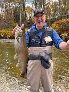 Chinook salmon caught while fishing in New York