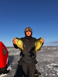 Two crappie fish caught in NY