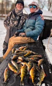 Three fish caught while fishing in New York