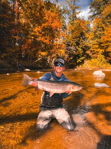 A fisherman holding a beautiful rainbow trout in NY