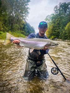 Photograph of a pink salmon caught while fishing in Mayville