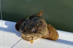 Best fishing trip in West Ocean City