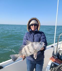 Angler reeling in a Black Drum fish in Maryland