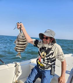 Sheepshead fish caught while fishing in MD
