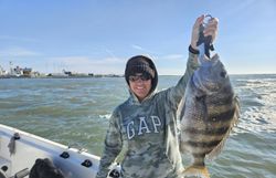 Sheepshead fishing in West Ocean City