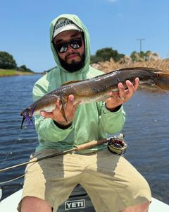 One person fishing in FL