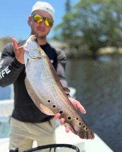 Fisherman with a fishing rod in Homestead