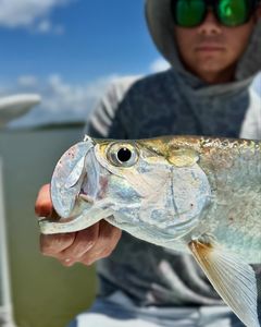 Lone angler fishing in FL