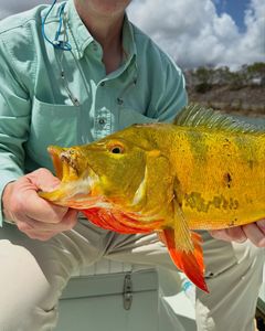 A fishing trip in FL