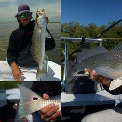 Three spotted weakfish caught during fishing trip in Homestead