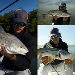 3 spotted weakfish and snook caught while fishing in FL