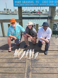 Four black drum fishing in TX