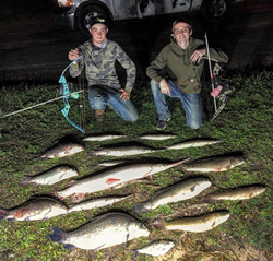 9 Longnose Gar fish caught in the orange location