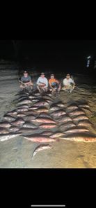 Four anglers enjoying a day of fishing in the Orange location