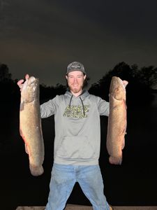 Two bowfin fish caught in TX