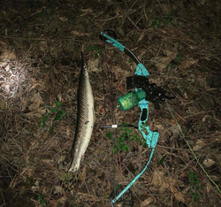 Fishing in the Orange location