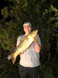 Orange fishing for best, great catch