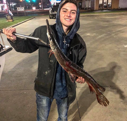 Photo of a longnose gar fish caught fishing in TX