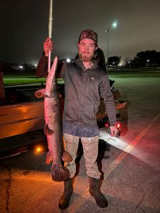 Longnose gar, 32 inch fish caught while fishing in TX