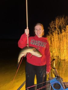 Night fishing scene with freshwater fish catch using bowfishing technique in Orange TX