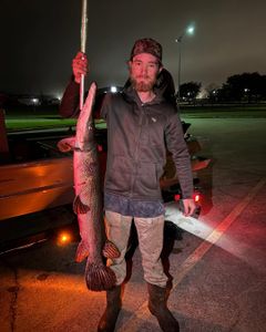 Photograph of a spotted gar fish caught during fishing