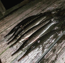 Fishing in TX
