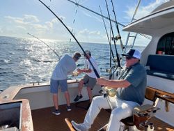 Anglers fishing in North Carolina