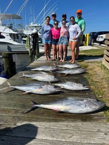 5 massive yellowfin tuna caught in Nags Head