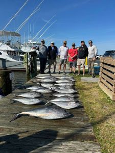 Two blackfin tuna fish swimming in the waters off Nags Head