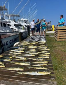 3 big fish caught in NC
